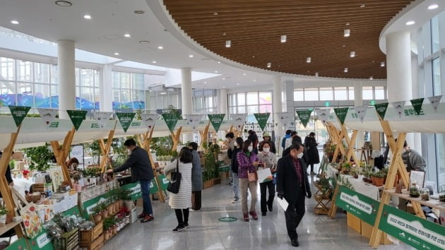 한국수목원정원관리원이 올해 정원산업 활성화를 위해 마련한 반려식물 키트 산업전. 한수정 제공