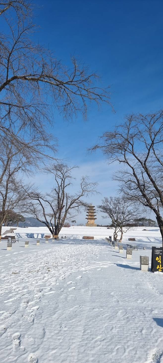 눈 쌓인 미륵산 둘레길. 김용민 해설사 제공