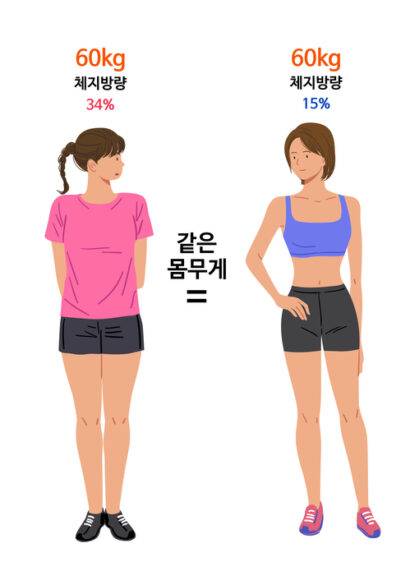 여성의 경우, 체지방률이 20~32%면 건강한 상태이다. [게티이미지뱅크]
