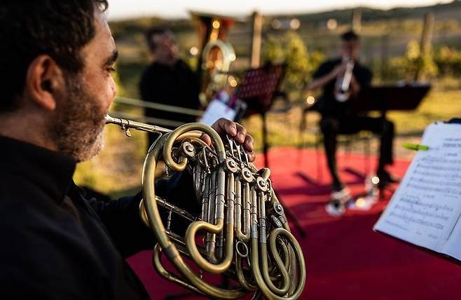 포도밭 연주회.