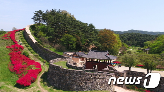 전북 고창읍성 성곽을 따라 만개한 붉은 철쭉이 방문객들의 눈길을 붙잡는다.2017.04.27/뉴스1 ⓒ News1 박제철 기자