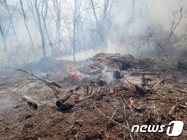 2일 오전 11시33분께 인천시 옹진군 자월면 한 야산에서 발생한 불은 36분만에 완전진화됐다.ⓒ News1 박아론 기자