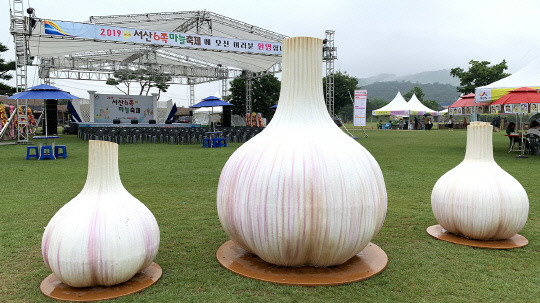 2019년 서산6쪽마늘축제 사진