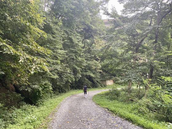 전북 진안군 부귀면 신정리와 완주군 소양면 월상리를 잇는 (현) 웅치는 임진왜란의 격렬한 전투지로, 당시 수많은 사람이 쓰러져 묻혔지만 지금은 트레킹 장소로 인기다. 김홍준 기자