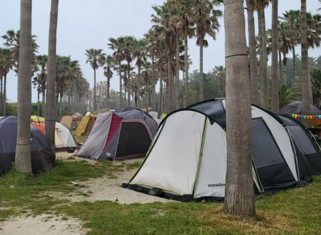 제주 함덕해수욕장 무료 야영장에 설치된 '알박기' 텐트. /사진='제주자치도에바란다' 홈페이지 갈무리