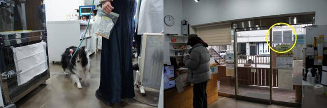 5일 반려견 '산이'와 함께 우리동생 동물병원을 방문한 송다영 씨는 이날부터 동물병원 진료비 의무 게시 제도가 시행되는 줄 몰랐다고 말했다. 동그람이 정진욱