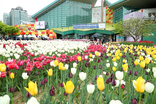 2022 고양국제꽃박람회. / 사진제공=고양특례시