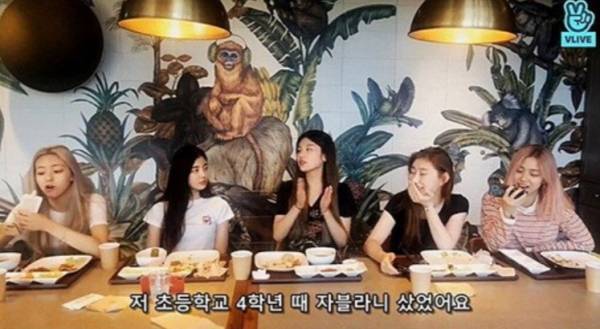 네이버TV VLIVE 'ITZY'