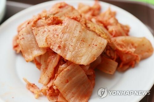 김치에 핀 '하얀 곰팡이' 같은 물질, 먹어도 될까? | 1일 1짤