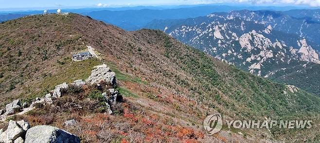 설악산국립공원 [연합뉴스 자료사진]