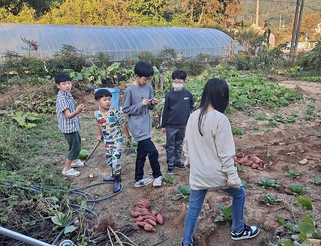 농촌유학 중인 도시학생들  [순창군 제공]