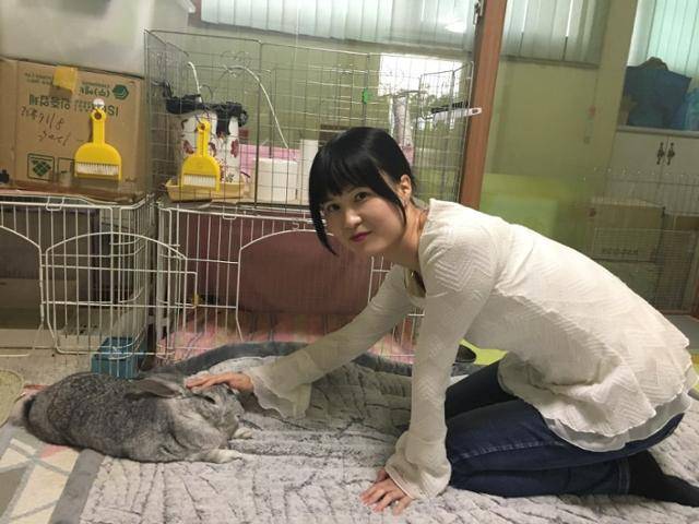 서유진씨가 자신의 반려토끼인 '우유'를 쓰다듬고 있다. 우유는 지난해 11월 말 열한 살의 나이로 세상을 떠났다. 고은경 기자