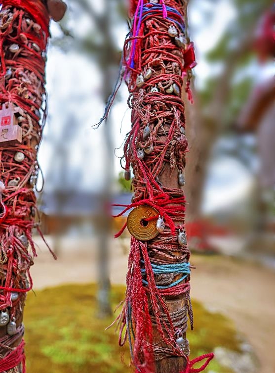 재회의 나무 앞에 매달린 '운명의 붉은 실' [사진/성연재 기자]