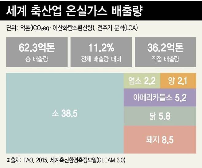 그래픽_<한겨레> 소셜미디어팀