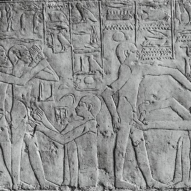 이집트 카이로 인근의 사카라에 있는 고(古)왕국 시대 피라미드 내에는 돌칼로 음경의 포피를 벗기는 작업이 묘사돼 있다. 그만큼 할례의 역사가 유구하다는 증표로 여겨진다.