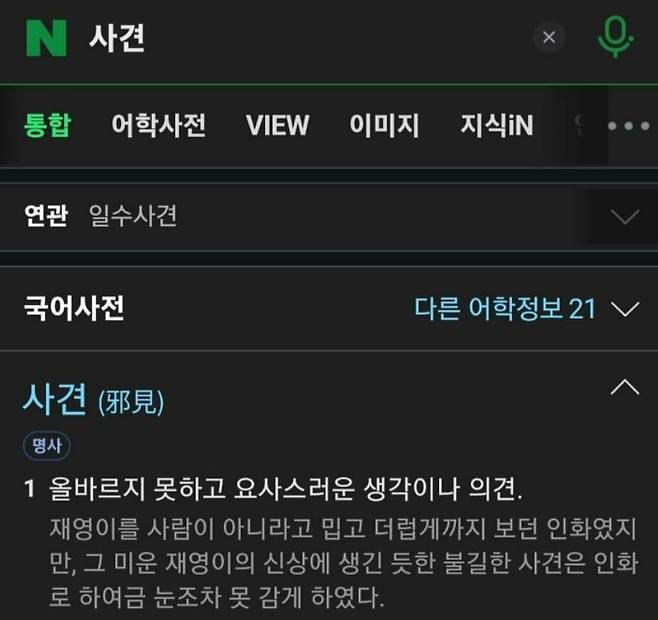 13일 네이버에 '사견' 검색했을 때 나오는 뜻/네이버