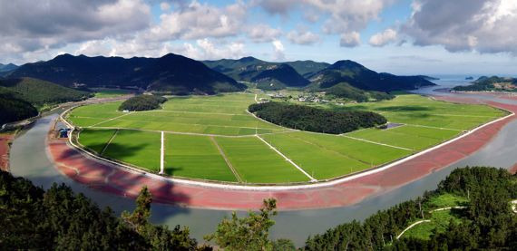 전남도는 농림축산식품부의 '2023년 친환경농업 기반 구축 사업' 공모에 전국에서 가장 많은 9개소가 뽑혀 지난 2019년 이후 5년 연속 전국 최다 선정되는 성과를 거뒀다고 16일 밝혔다. 사진은 친환경농업단지 전경. 사진=전남도 제공