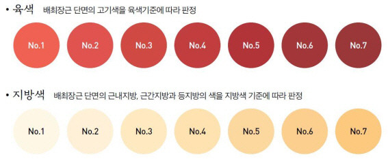 소고기 육색 및 지방색 판정 기준. 농촌진흥청 제공