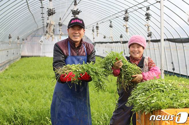 한파가 기승을 부린 17일 오후 대구 동구 범이농원 시설하우스에서 김범수·이외숙씨 부부가 추위도 잊은 채 미나리 수확이 한창이다. 미나리는 혈액을 맑게 해주고 몸속 중금속 배출을 돕는 건강식품으로 알려져 있다. 이맘 때 수확하는 미나리는 진한 향과 아삭한 식감이 일품이다. 2023.1.17/뉴스1 ⓒ News1 공정식 기자