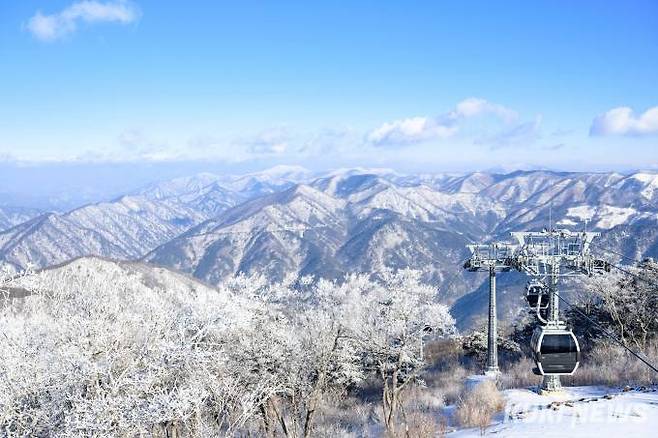 가리왕산 케이블카 상고대.