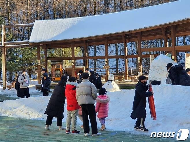 국립횡성숲체원 설프라이즈 눈꽃 놀이터