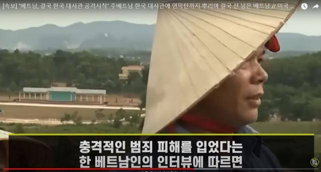 지난해 7월 유튜버 '월드 댓글'이 만든 가짜뉴스에 등장한 주베트남 한국대사관 인근 주민의 인터뷰 영상. 유튜브 캡처