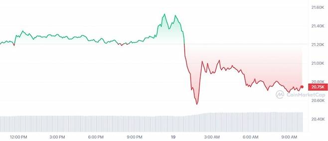 19일 오전 10시 30분 기준 최근 24시간 비트코인 가격 추이 /사진=코인마켓캡 홈페이지