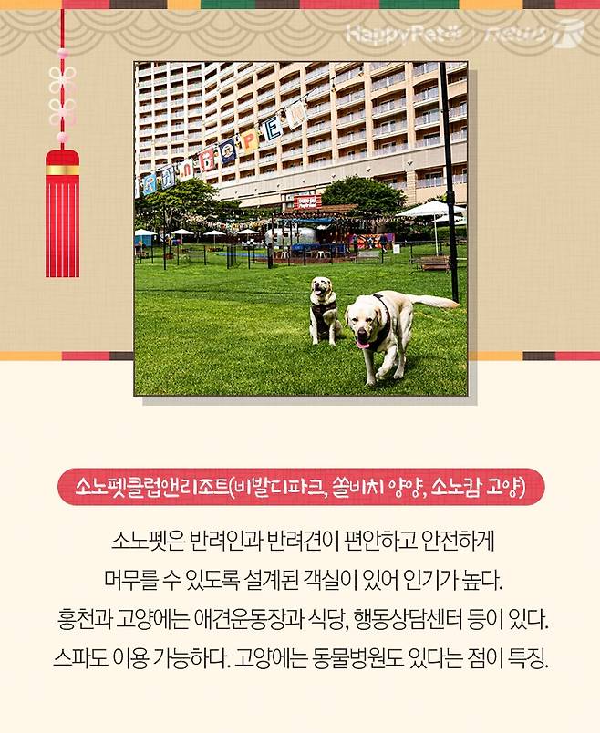 펫카드 설 명절