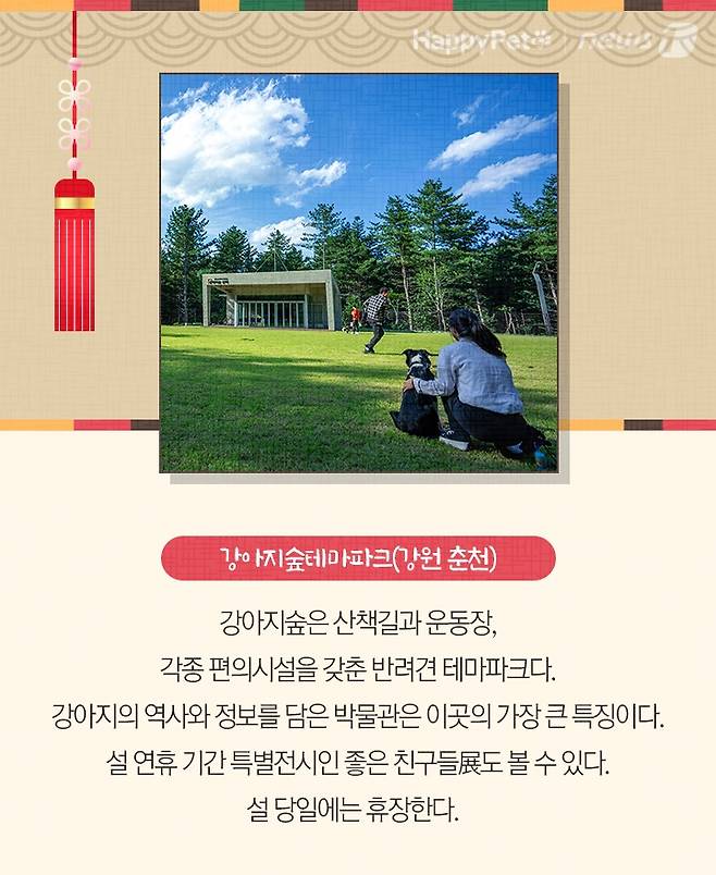 펫카드 설 명절