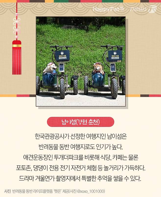 펫카드 설 명절