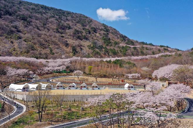 [진주=뉴시스] 진주시 월아산 자연휴양림 글램핑장 전경. *재판매 및 DB 금지