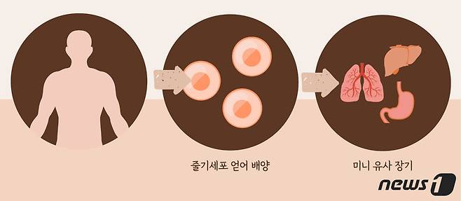 ⓒ News1 최수아 디자이너