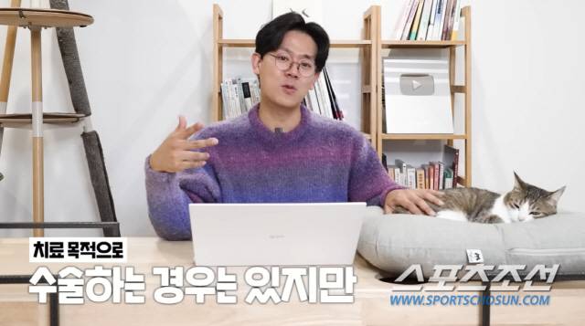 사진 출처=유튜브 '미야옹철의 냥냥펀치'