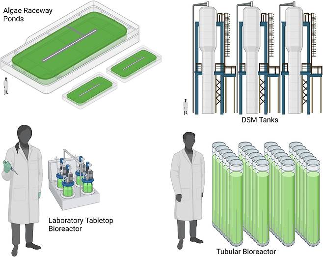 미세조류를 키우는 다양한 방법./Frontiers in nutrition