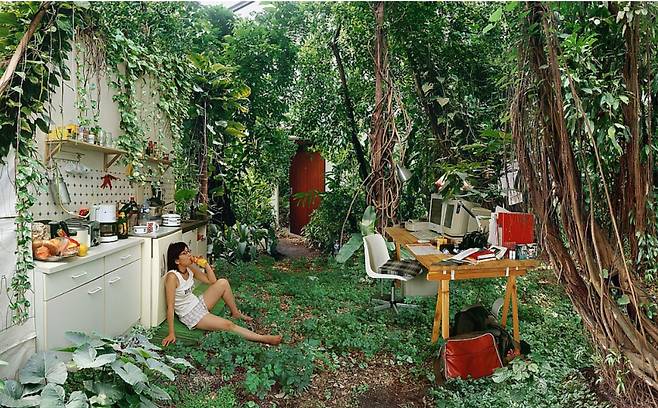 원성원의 '드림룸(2003).  원성원 작가가 지난 2003년에 발표한 '드림룸'. 책상과 찬장이 붙어있을 만큼 작은 공간이지만 울창한 밀림처럼 푸른 숲에 살고 싶은 작가의 소망을  표현했다. 기대어 앉아서 뭔가를 먹고 있는 사람이 작가 자신이다.