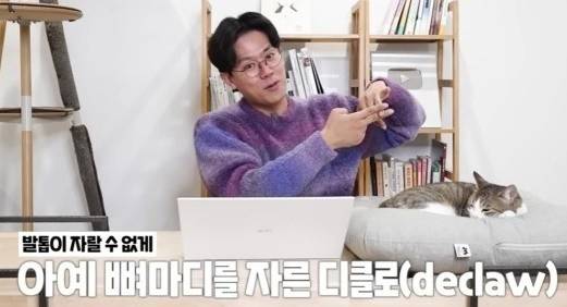 [유튜브 채널 '미야옹철의 냥냥펀치' 갈무리]