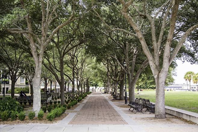 사우스캐롤라이나주 찰스턴. /사진 = 미국관광청