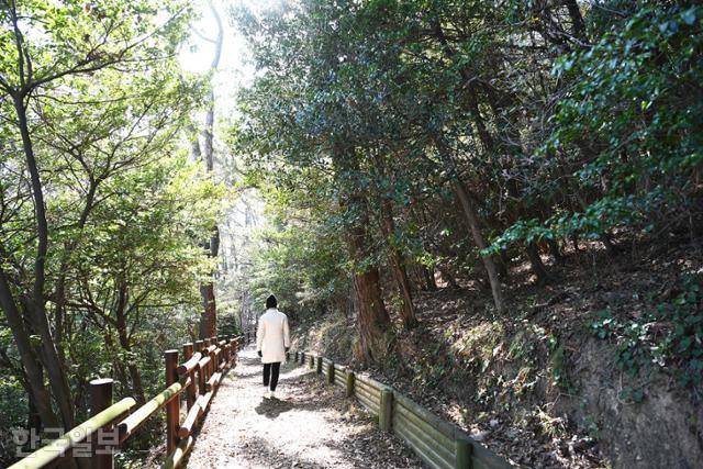 난대성 수목이 울창한 망봉산 산책로.