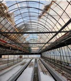 전북 임실지역 시설하우스 비닐이 지난해 12월23일 내린 폭설로 찢어져 있다. 해당 농민이 풍수해보험에 가입한 것으로 확인돼 보험료의 11배 넘는 보험금을 지급받을 예정이다. 사진 제공=행정안전부