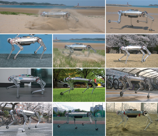 개발한 로봇 제어기가 다양한 지반 환경에 적응하는 모습. 사진=KAIST 제공