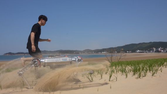 한국과학기술원(KAIST)기계공학과 황보제민 교수팀 연구원이 사족보행로봇 '라이보'와 함께 해변 모래사장을 달리고 있다. KAIST 제공