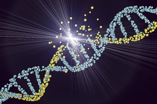 손상된 DNA. 게티이미지뱅크