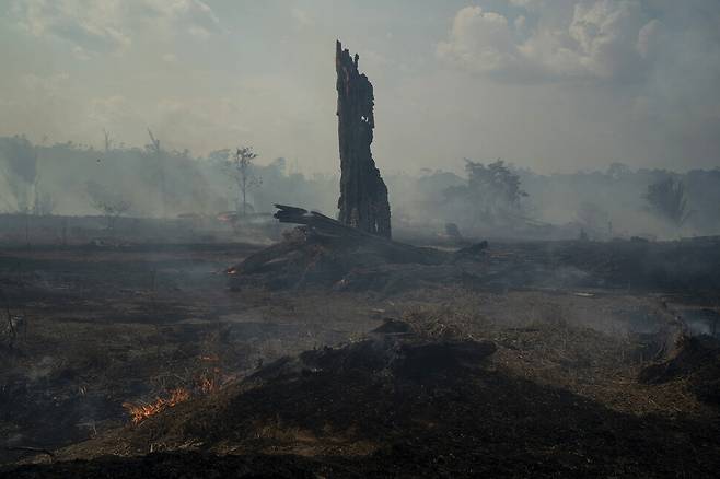 2019년 아마존에서 발생한 대형 산불로 황폐화된 아마존 열대우림 지역. 연합뉴스
