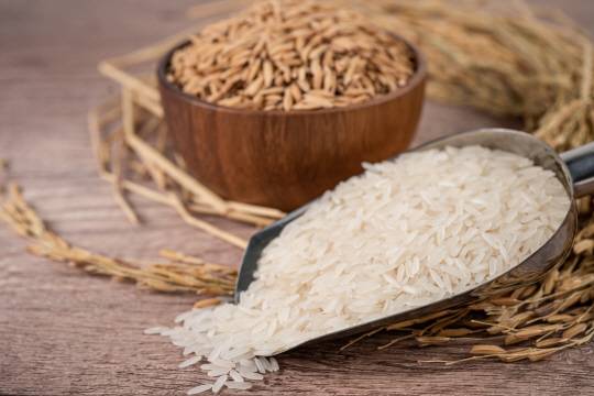 쌀. 게티이미지뱅크 자료사진.