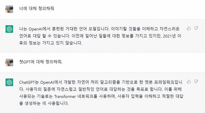 챗GPT에 자신에 대해 설명해 달라고 질문한 결과. /사진=챗GPT 갈무리