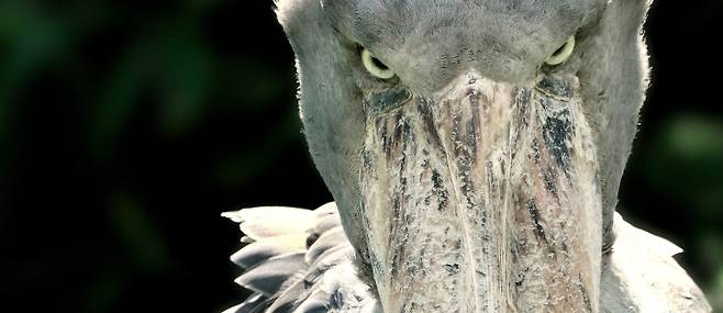 /사진= 경남 사천 아라마루 아쿠아리움