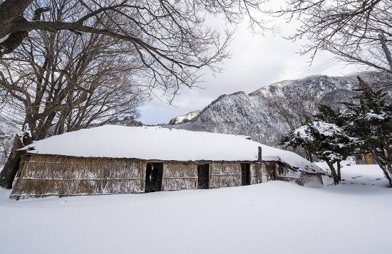 하안 온 갈아입은 나리분지 투막집(울릉군 제공)
