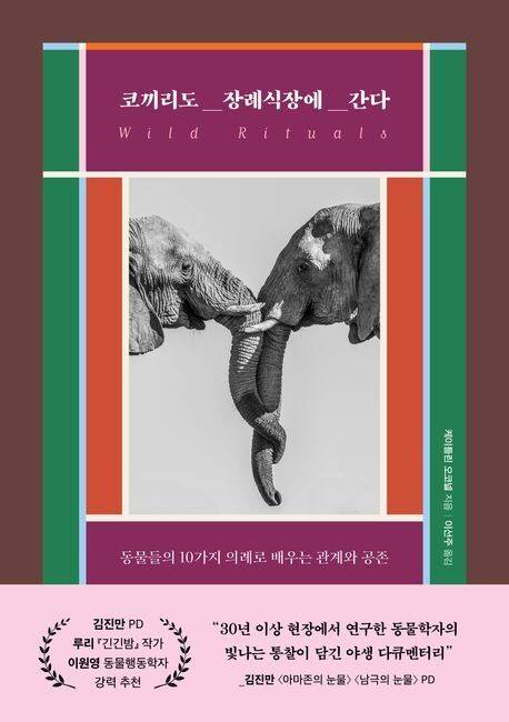 어미 돌고래의 새끼 장례식을 본 적 있는가