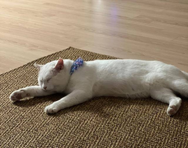 역시 따뜻한 방바닥이 최고지!!