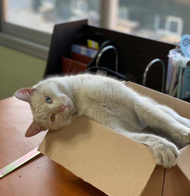  3일 내내 잠만 자는 모습을 보며 결국 보쌈해 집으로 데려갔답니다!